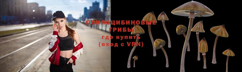 Галлюциногенные грибы Magic Shrooms  как найти наркотики  Бокситогорск 